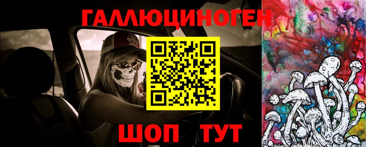 наркотики  Вход с VPN  Кандалакша  Галлюциногенные грибы Psilocybine cubensis 